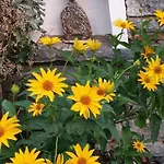 شقة Maerchenschloessel Altenstein *