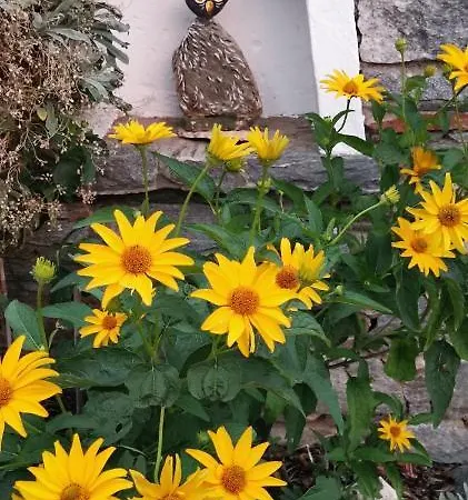 Апартаменты Maerchenschloessel Altenstein *