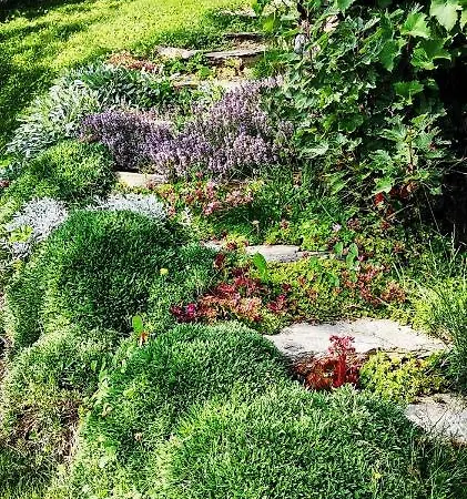 Апартаменты Maerchenschloessel Altenstein *