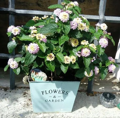 Maerchenschloessel Altenstein